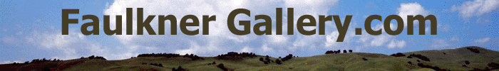 Faulkner Gallery.com Banner